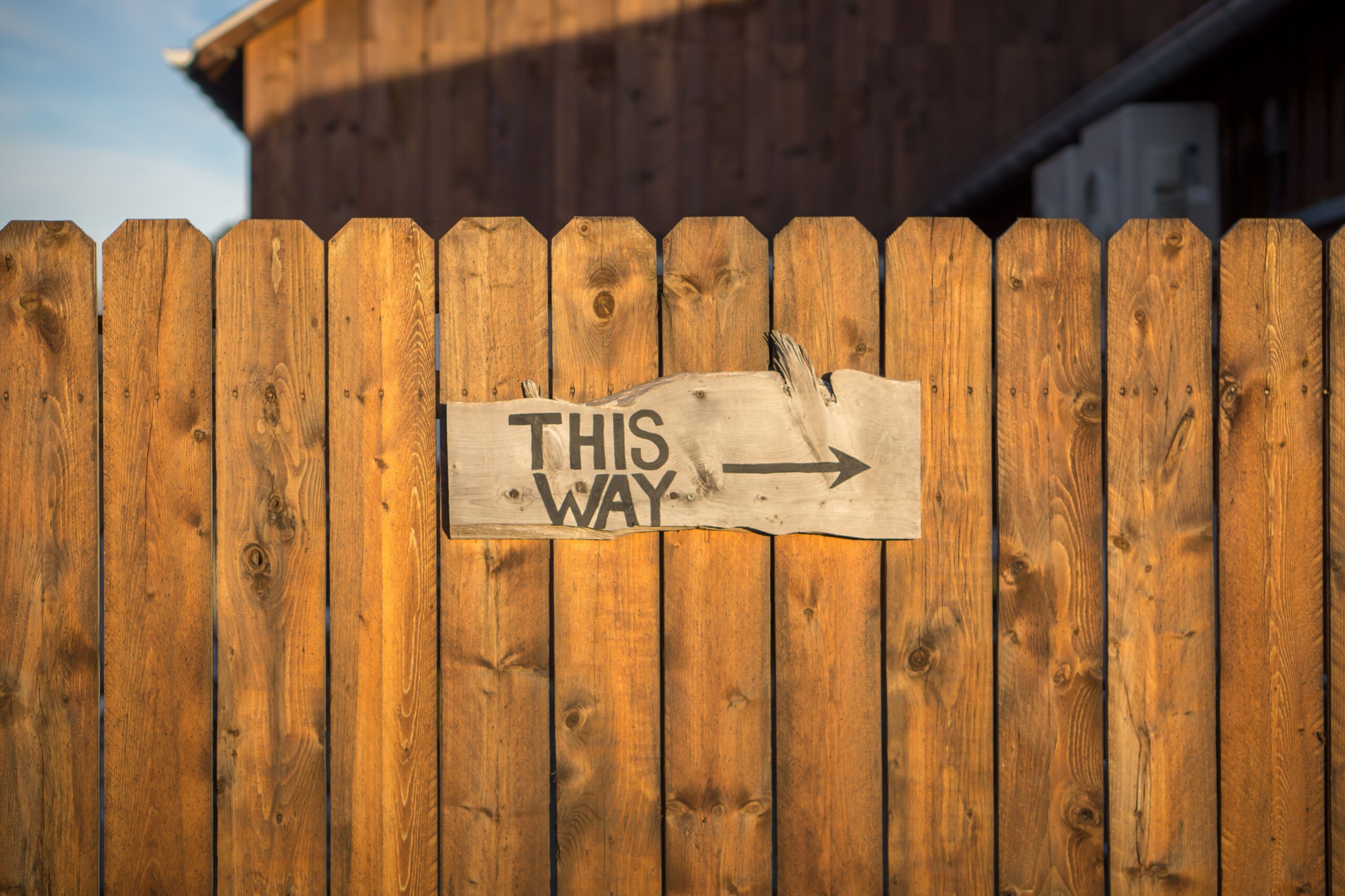 jamie-templeton-6gQjPGx1uQw-unsplash jamie-templeton-6gQjPGx1uQw-unsplash